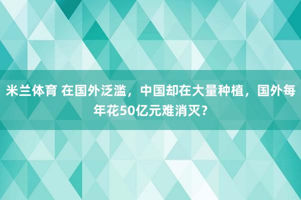 米兰体育 在国外泛滥，中国却在大量种植，国外每年花50亿元难消灭？