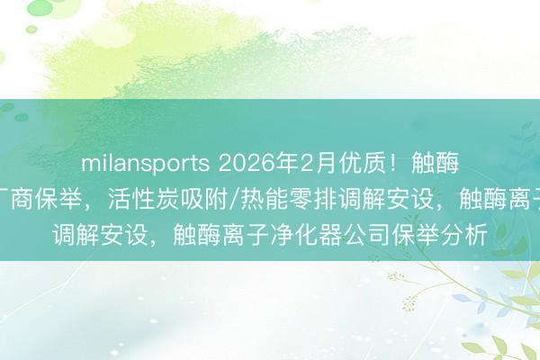milansports 2026年2月优质！触酶离子净化器口碑好的厂商保举，活性炭吸附/热能零排调解安设，触酶离子净化器公司保举分析